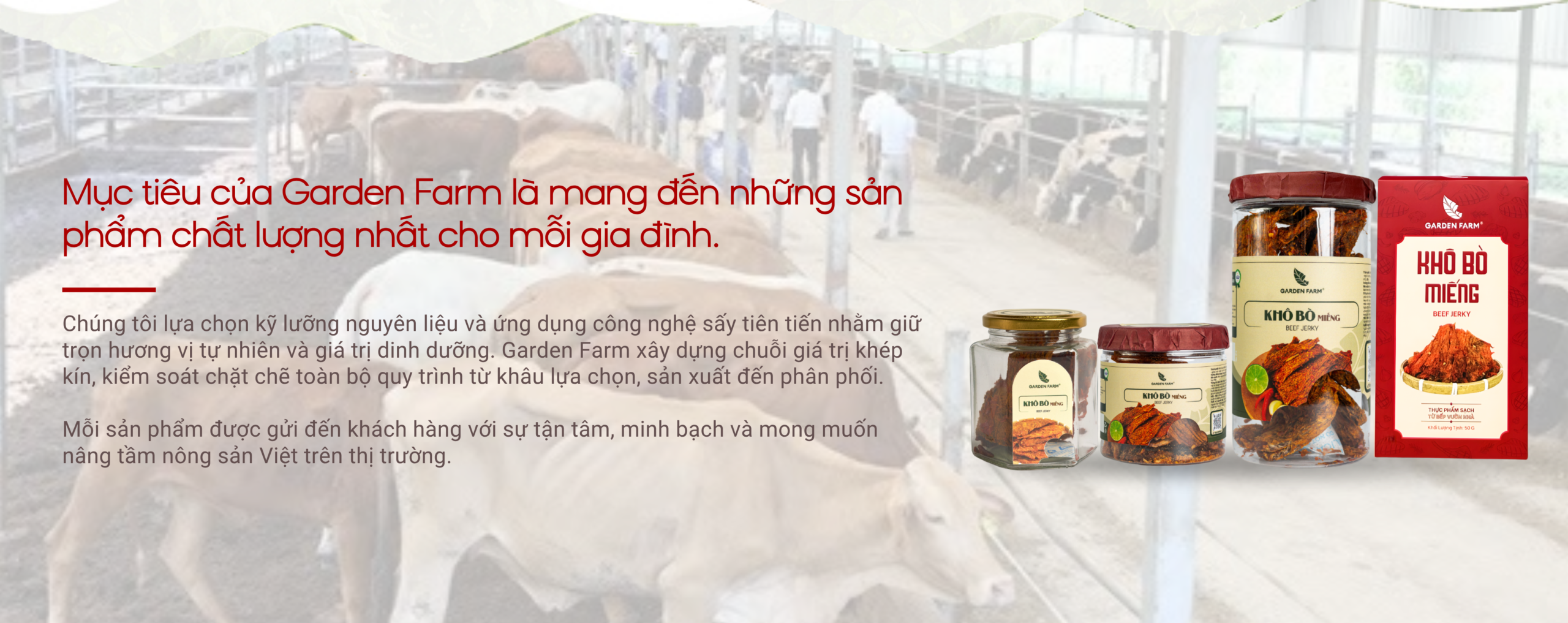 THIẾT KẾ GAFA 2027 (690x360px) (1360 x 540 px) (1)